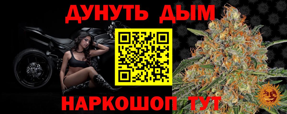 Шишки марихуана план  Канабис ГИДРОПОН  Бошки Шишки LSD WEED  Ефремов  Вход с VPN 